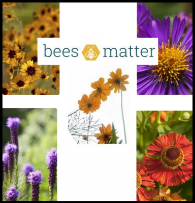 Free Bees Matter Seed Packets