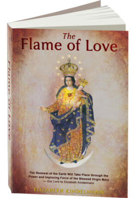 Free Flame Of Love Diary