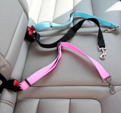 Free Adjustable Nylon Dog Seatbelt Giveaway