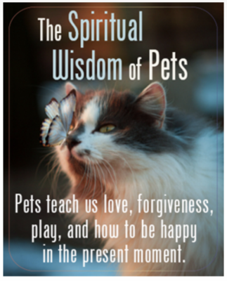 Free Booklet: The Spiritual Wisdom of Pets