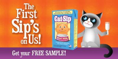 Request Free Cat-Sip Real Milk Treat