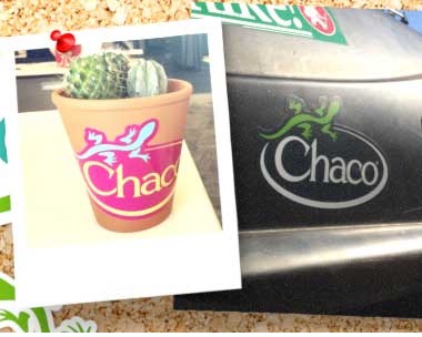 Free Chaco Stickers