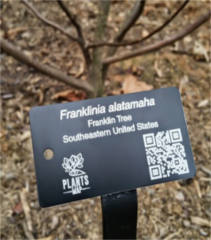 FREE Customized Plant Tag Sample