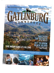 Free Gatlinburg Vacation Guide