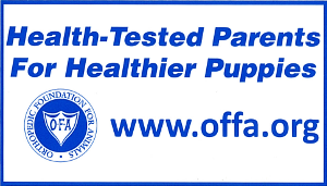 Health-Tested Parents for Healthier Puppies Sticker