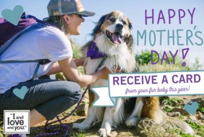 Free Mother's Day Card from your pet