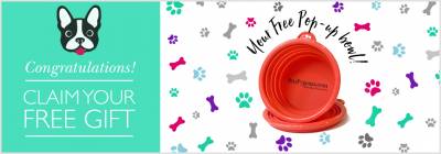 Request Free Pet Pyjamas Pop-Up Dog Bowl