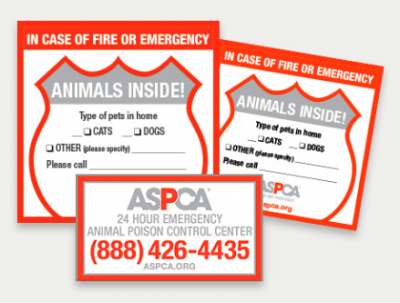 FREE Pet Safety Pack