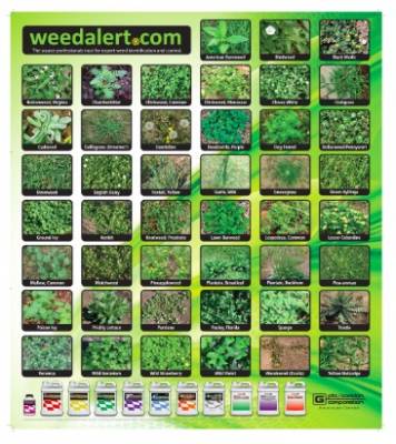 Free Poster from Weed Alert | Free Stuff, Product Samples, Freebies ...