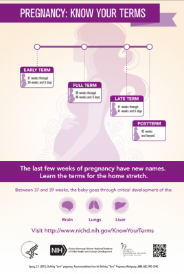 Free Posters from the NICHD National Child and Maternal Health Education Program