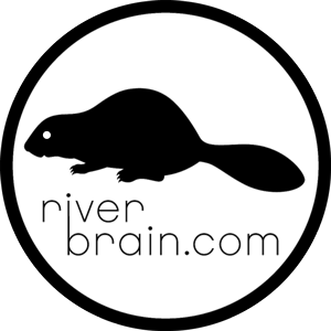 Request Free River Brain Sticker