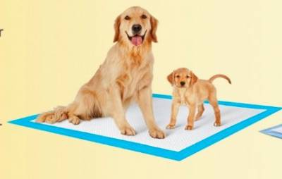 Free Sample of PetPads Training Pads for Pets