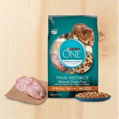 Free Sample of PURINA ONE TRUE INSTINCT