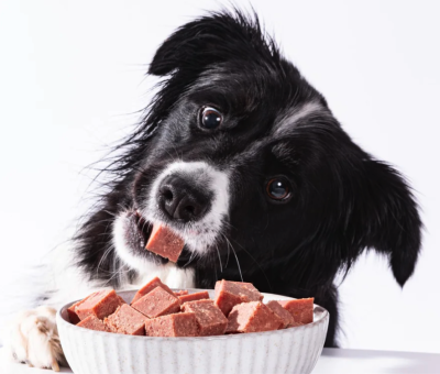 Free Sample of SPD™ Fresh Roll Premium Dog Food