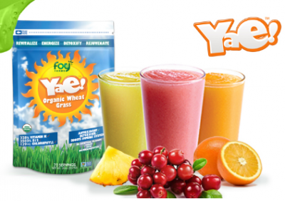 free sample of Yae! Organics Wheat Grass Powder