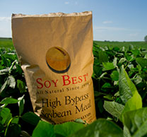 Request Free SoyBest Sample for Cows