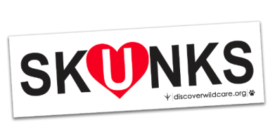 Free Sticker - I Love Skunks