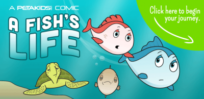 Free Stickers from Petakids' Comic - A Fish's Life