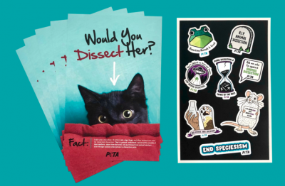 Free Stickers from Peta.org