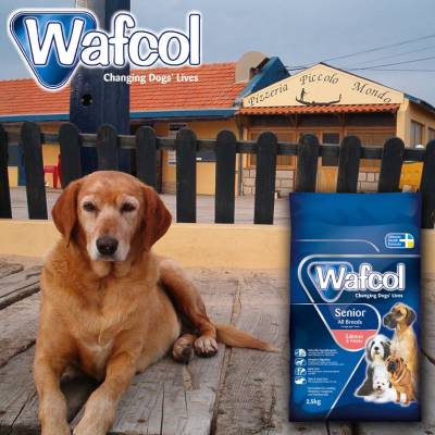 Request Free Wafcol Dog Food Sample 