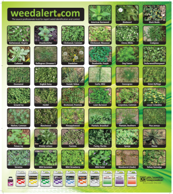 Request Free Weed Alert Poster