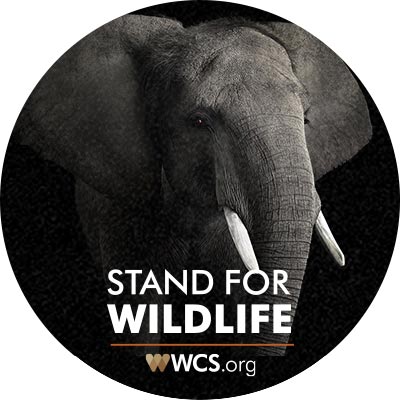 Sign up: Free Wildcards Sticker