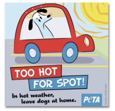 Free Window Decal - Too Hot for Spot