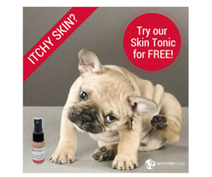 Wondercide Skin Tonic Spray For Dogs