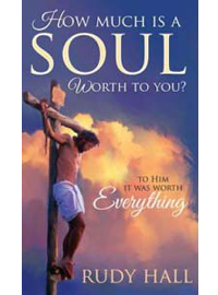 How Much Is A Soul Worth To You Book