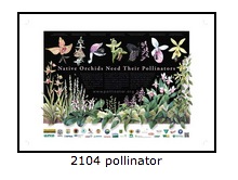 Native Orchids Need Their Pollinators Poster