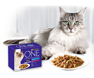 Purina One Cat food