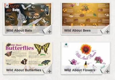 Wild Life Posters